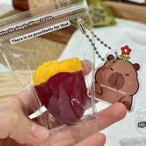 BLOOMRIDGE Đồ chơi nhũn đáng yêu với chất gel mềm mịn và các hạt màu sắc rực rỡ giúp giảm căng thẳng và vui chơi giải trí