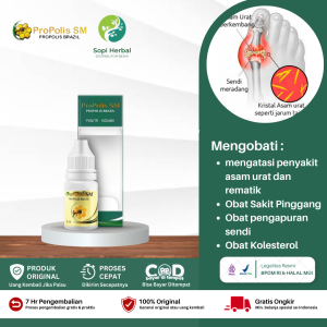 Obat Asam Urat dan Rematik Obat pengapuran sendi Obat Sakit Pinggang Obat Kolesterol - Propolis SM