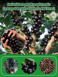 Jia Bao Fruit Pots with High Yield