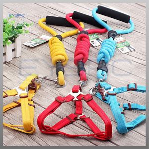 Plain Design Harness with Leash and Foam Handle