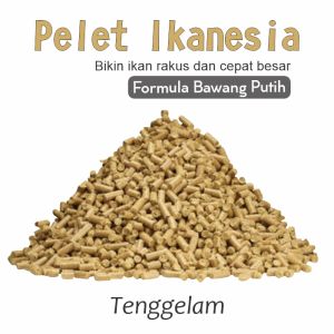 Pelet Tenggelam Pakan Makanan Ikanesia Mas Lele Nila Tenggelam 1 kg Bawang Putih