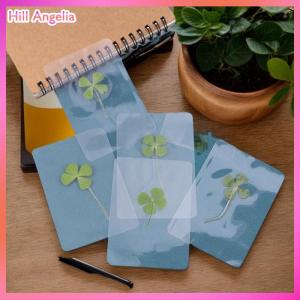 [Hill Angelia] 1 5 10Pcs Lucky Clover Postcards Natural Grass Transparent Wishing Cards For Bookmarks