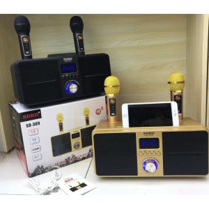Loa karaoke bluetooth SD 309 - Tặng kèm 2 micro không Dây Loa Bluetooth Mini Karaoke SDRD SD-309 - Bản Cao Cấp Loa bluetooth SDRD SD-309 kèm 2 micro UHF Loa Karaoke Sdrd 309 Giá Tốt