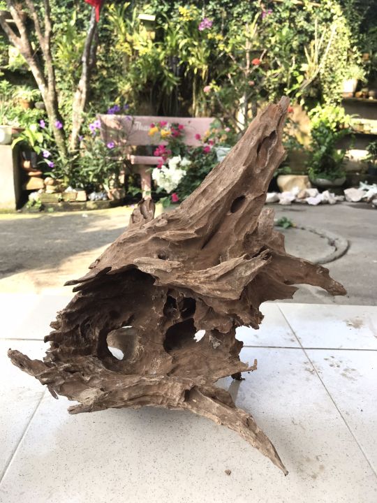 G%E1%BB%96%20L%C5%A8A%20NGH%E1%BB%86%20THU%E1%BA%ACT%20MS584%20Link%20A%20-%20Image%202