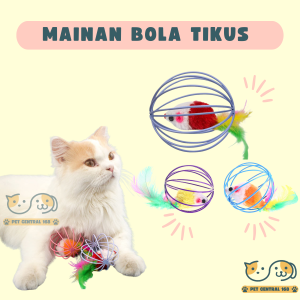 Mainan Bola Tikus Untuk Kucing Cat Toys Mainan Hewan