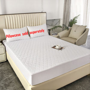 (SG STOCK) Quilted Waterproof Mattress Protector Fitted Bedsheet Soft Breathable Anti Bacterial Machine Washable