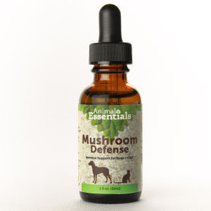 Animal Essentials Mushroom Defense | Immune Prebiotics Cancer Support | Holistic Healthcare for Dogs & Cats