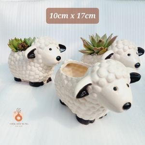 Chậu men - Chú cừu mĩm cười miệng chậu (dọc 10cm ngang 9cm) chiều cao 11cm và 17cm