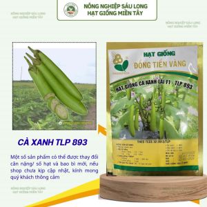 Gói 2G Hạt Giống Cà Xanh TLP893 – Hạt Giống Cà Xanh Dễ Trồng Sinh Trưởng Tốt