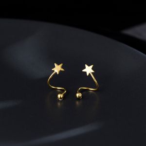 1pair Gold Ball Earings for Women Hypoallergenic Helix Earring Set Love Piercing Earring Set Silver Earings for Kids Accessories Jewelry