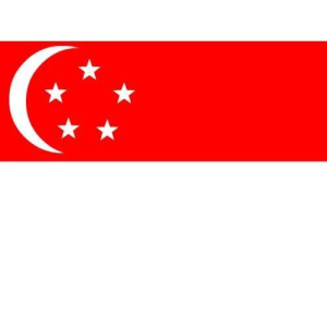 100 PC Cờ trang trí bánh cờ Việt Namcake decorating tools