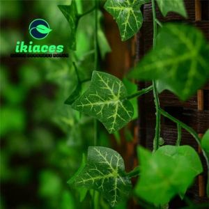 DAUN RAMBAT IVY 12 PCS / 1 LUSIN DAUN JUNTAI DAUN ARTIFICIAL BUNGA PLASTIK DAUN PLASTIK DAUN DEKORASI CAFE TERMURAH BAYAR DI TEMPAT