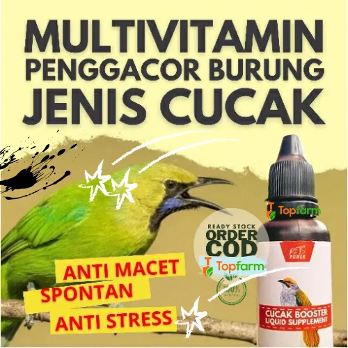 Katta Osiyo eshaklarining fotosuratlari