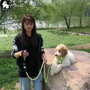 FCTRUELOVE Dog Leash Nylon Rope Reflective Walking Running Rope with Soft Handle for Medium Large Dogs CarabinerAccessories