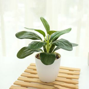 ZYJC SHOP Nhựa Cây Cảnh nhân tạo Giống như thật Thủ công Trang trí cây chậu Xanh Cây Giả Có nồi Cây trồng trong chậu mô phỏng Trang trí nhà cửa