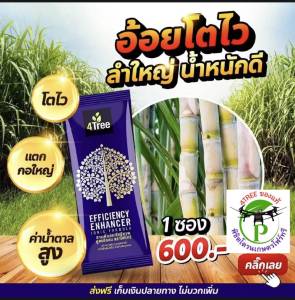 4Tree (โฟร์ทรี) 1 ซอง ใช้ได้ 15-20 ไร่ สารเสริมประสิทธิภาพ พืชโตเร็ว จากประเทศ อิสราเอล ของเเท้100% พร้อมส่งทุกวัน