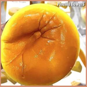 【Pinellia flowers】 Creative Simulated Steamed Cake Slow Rebound Pinch Decompression Vent Toy Squish Slow Rising Stress Toy For Children Gift