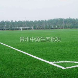 เมล็ดหญ้าไต้หวัน เมล็ดพันธ์หญ้าสนาม Taiwan Grass Seeds 100-500 กรัม เมล็ดในไทยพร้อมส่ง