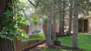 RESCUE! Outdoor Hanging Fly Trap - 24 Traps