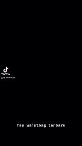 Tas Pinggang & Tas Bahu Gaya Modern Terbaru