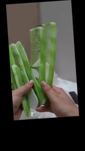 Set 10 chiếc Lược Chải Tóc Tiện DụngDụng Cụ Uốn Tóc Cổ Điển nhiều kiểu dáng và kích thước Vuadienmay
