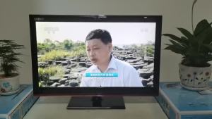 HD LCD TV Wireless WiFi Internet TV 26 Inch 24 Inch 22 Inch 19 Inch 17 Inch TV Flat Panel TV