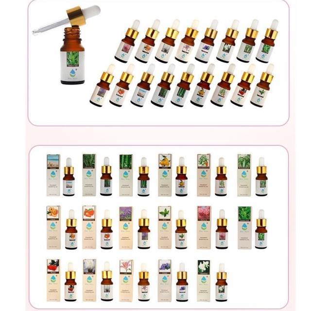 Fragrant essential oil air humidifier scent 10ml good smell | Lazada PH