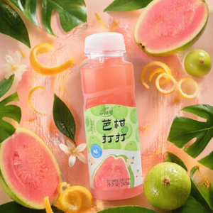 [Yi Zhi Bi] BaGanDaDa Guava Amla Juice Drink 245ml x 10 Bottles Singapore