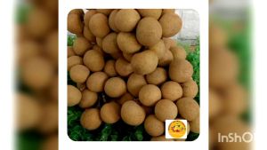 Fresh Longan fruits ₱380 for halfkilo 500g.(Sweet and Juicy) DELIVER ONLY AROUND METRO MANILA AREAS STRICTLY NO RETURN