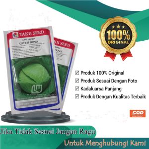 Benih Kubis Green Nova Bibit F1 Kol Hibrida 20 ml Takii Seed
