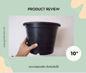 กระถางพลาสติก กระถางต้นไม้ สีดำ 10นิ้ว แพ๊ค 10ใบ - พร้อมกำหนดให้ดูดี