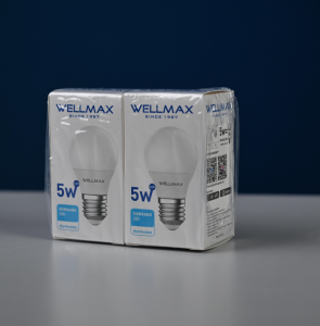WELLMAX Light Bulb Adopt SAMSUNG LED Chip 6500K Daylight Buy 1 Take 1