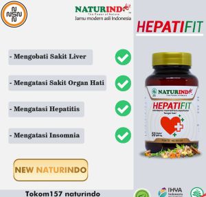 HEPATIFIT MEMBANTU MEMELIHARA KESEHATAN LIVER ATASI NYERI ULU HATI HEPATITIS