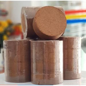 Viên nén mụn xơ dừa bánh lớn đất sơ dừa nén 0.5Kg viên dùng trồng rau trộn đất trồng cây Phukienprocare