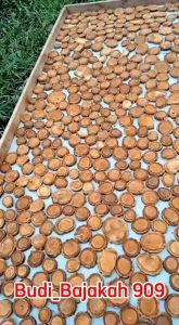 Akar Bajakah Tampala Super 1kg Bonus 10pcs Teh Bajakah Asli Kalimantan 100% Original