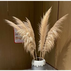 Bông cỏ lau xù hoa cỏ lau trang trí nhà cửa quán cafe deco chụp ảnh siêu hot...Miu_Phụ kiện chụp ảnh