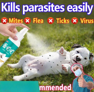 < INLIFE > Tick and Flea Spray Remover 100ml Suitable for Dogs and Cats Plant-based Formula Doesnt Hurt