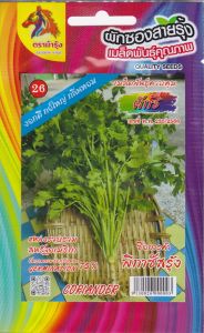 ขายปลีก ผักซอง ม้ารุ้ง Z026 ผักชี *แพ็ค 5 ซอง* เมล็ดพันธุ์ ผักชี เมล็ดพันธุ์ผัก เมล็ดผัก ผักสวนครัว ตราม้ารุ้ง