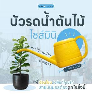 บัวรดน้ำต้นไม้ ไซส์มินิ  (MINI WATERING PLASTIC POT) ปากยาว เบา ใช้ง่าย อ่อนโยนต่อพืช ขนาด 1 ลิตร สต๊อกเยอะ ส่งเร็ว [มีเก็บปลายทาง]