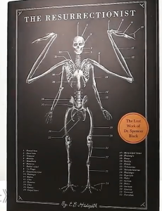 The Resurrectionist Ghouls Beast in Bony Anatomy Drawing Mythical Monster Box