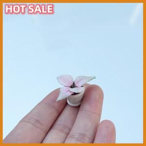 🔥🔥🔥dingdaocunz 2PCS 1:12 Dollhouse Furniture Accessories Scenery Decoration Mini Plants Small Flower Pots Interior Decoration Clay