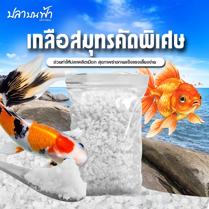 เกลือทะเล เกรดสะอาดสำหรับตู้ปลาและบ่อปลา ลดความเครียด