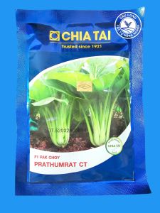 hạt giống F1 CẢI NGỌT CHIA TẢI gói 50gr | Cây to nhưng ăn rất mềm ngon ngọt và đặc biệt không bị sơ