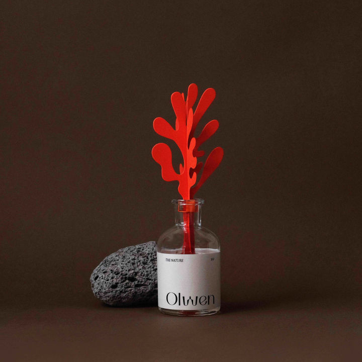 Paper Coral Diffuser Set : ชุดก้านกระดาษกระจายกลิ่นน้ำหอมภายในบ้าน ลด ...