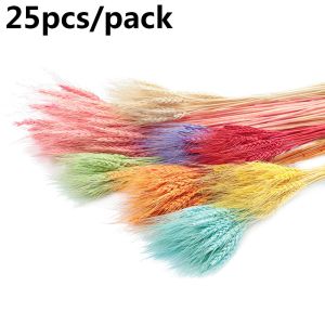 3GGINEII 25pcs ตกแต่งงานแต่งงาน วัสดุธรรมชาติ ของตกแต่งบ้าน หญ้าหูข้าวสาลี ช่อดอกไม้ประดิษฐ์ ดอกไม้จริง ลำต้นของพืช