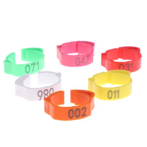 100ชิ้น ห่วงใส่ขาไก่ ห่วงขาไก่ แหวนใส่เท้าไก่ ห่วงขาไก่ชน แบบปรับได้ ใช้กับฟาร์มไก่