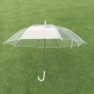 Ô Trong Suốt - Ô Sống Ảo