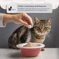 Liệu Trình 84 Ngày FIP Viêm Phúc Mạc Mèo - Viên Uống FIP REMEDY - Hàng Mỹ Chính Hãng. 