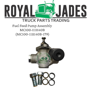 Fuel Feed Pump Assembly MC100-1111140B-179 for 1pc