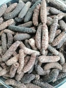 CHUỐI HỘT RỪNG TÂY NGUYÊN bịch 1kg chuối hột rừng khô ngâm đỡ đau lưng tan sỏi thận đau xương khớp từ Sê San-Kon Tum | Berries Farm